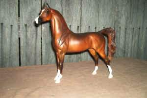 PSYCHE~1.JPG (59439 bytes)