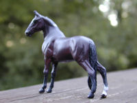 EquinArt Creations